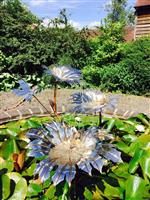 giant gunnera 3 leaf.jpg